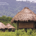 Mia Taylor Travel Writer Westways Magazine Photograph Embera Village, Panama